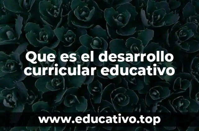 Que es el desarrollo curricular educativo