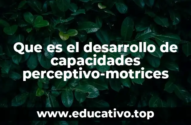 Que es el desarrollo de capacidades perceptivo-motrices