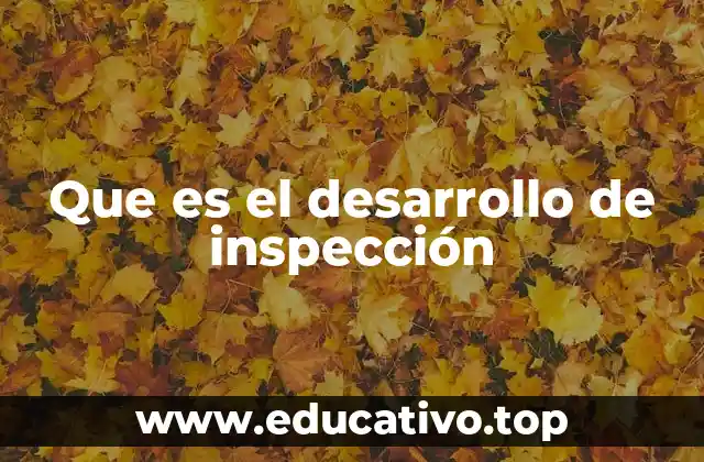 Que es el desarrollo de inspección