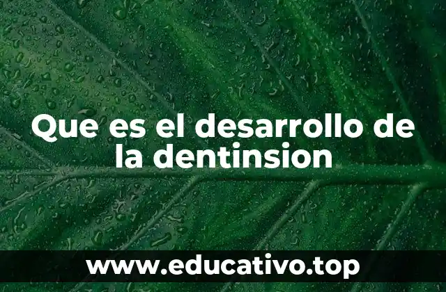 Que es el desarrollo de la dentinsion