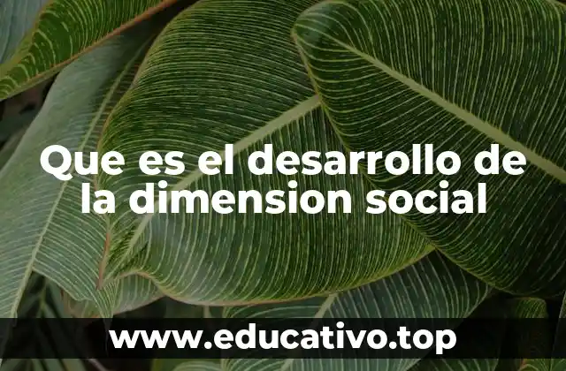 Que es el desarrollo de la dimension social