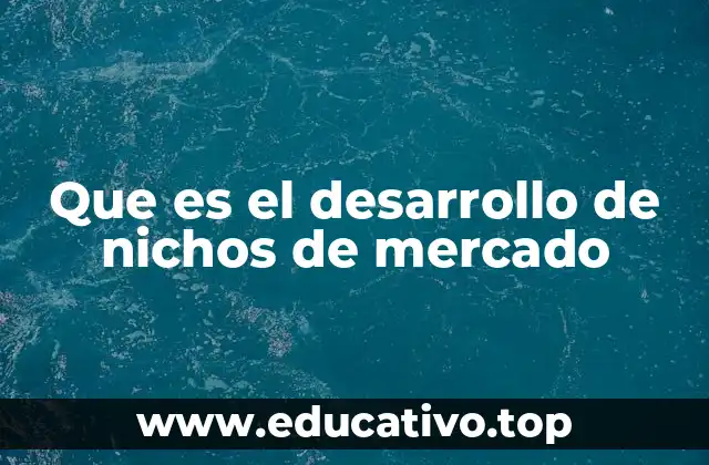 Que es el desarrollo de nichos de mercado