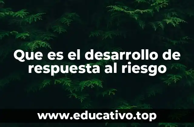 Que es el desarrollo de respuesta al riesgo