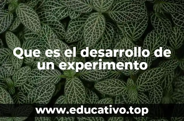 Que es el desarrollo de un experimento