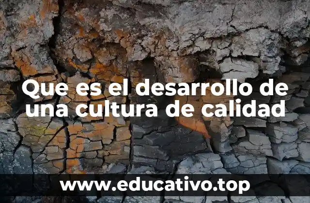 Que es el desarrollo de una cultura de calidad