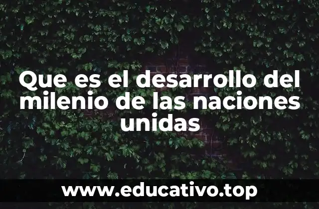 Que es el desarrollo del milenio de las naciones unidas