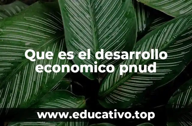 Que es el desarrollo economico pnud