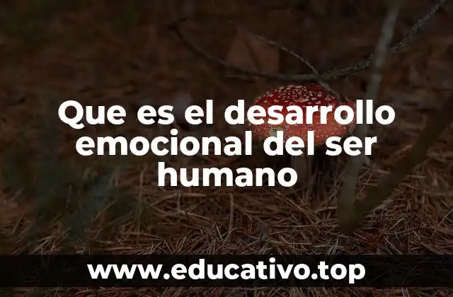 Que es el desarrollo emocional del ser humano