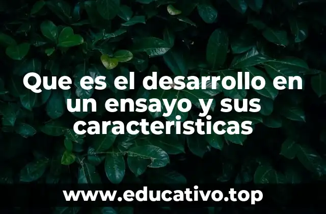 El rol del desarrollo en la coherencia del ensayo