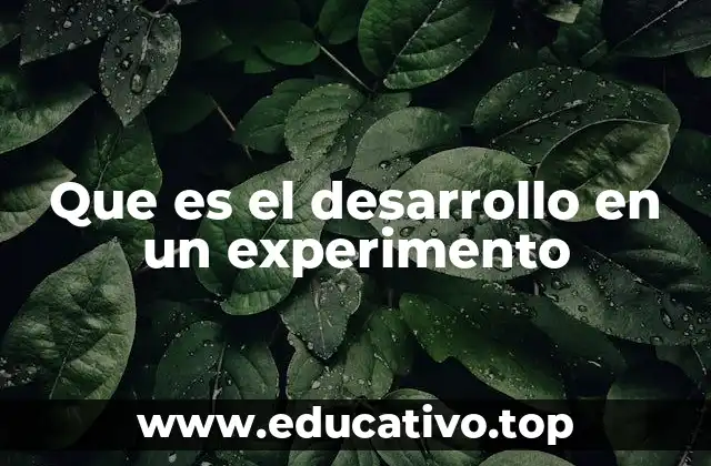 Que es el desarrollo en un experimento