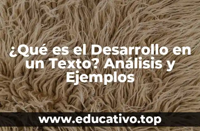 ¿Qué es el Desarrollo en un Texto? Análisis y Ejemplos