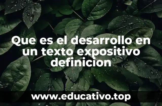 Que es el desarrollo en un texto expositivo definicion