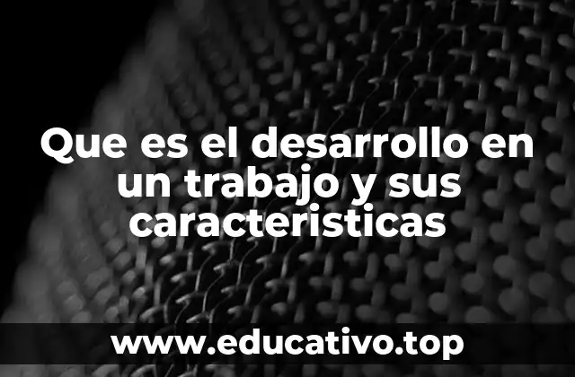 Que es el desarrollo en un trabajo y sus caracteristicas