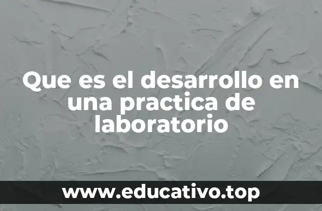 Que es el desarrollo en una practica de laboratorio