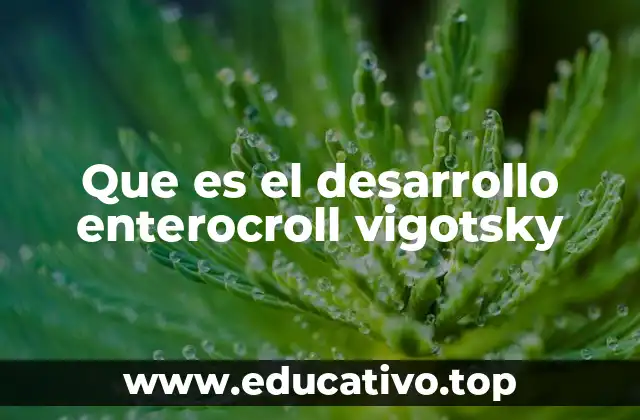 Que es el desarrollo enterocroll vigotsky