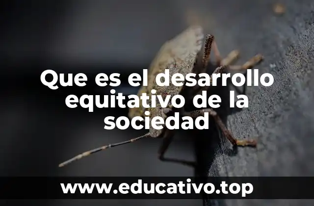 Que es el desarrollo equitativo de la sociedad