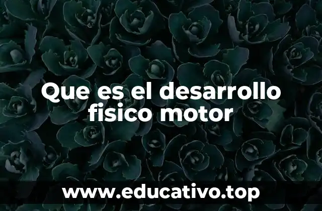 Que es el desarrollo fisico motor