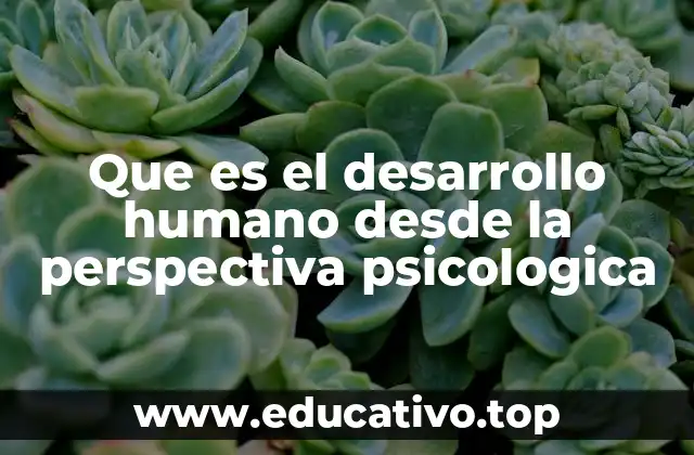 Que es el desarrollo humano desde la perspectiva psicologica