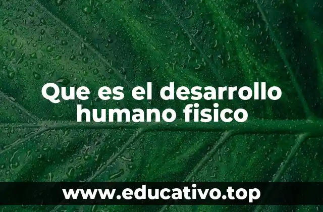Que es el desarrollo humano fisico