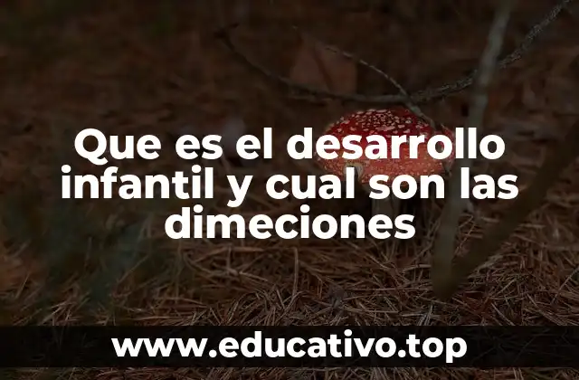 Que es el desarrollo infantil y cual son las dimeciones