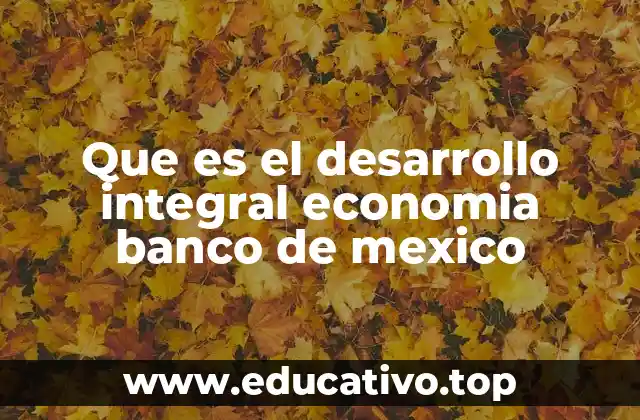 Que es el desarrollo integral economia banco de mexico