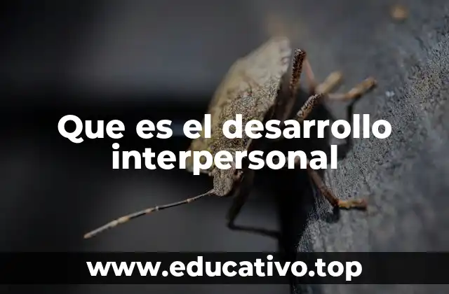 Que es el desarrollo interpersonal