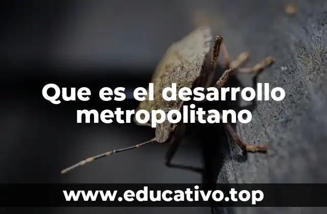 Que es el desarrollo metropolitano