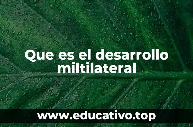 Que es el desarrollo miltilateral