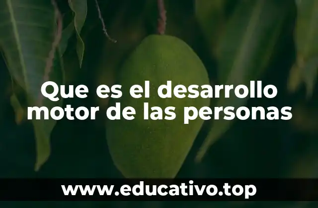 El papel del desarrollo motor en el crecimiento integral de los niños