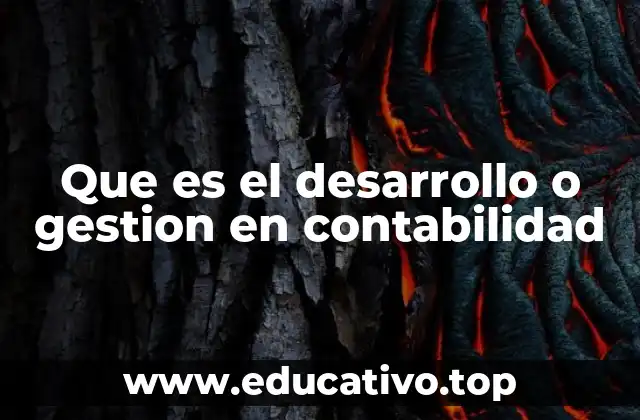 Que es el desarrollo o gestion en contabilidad