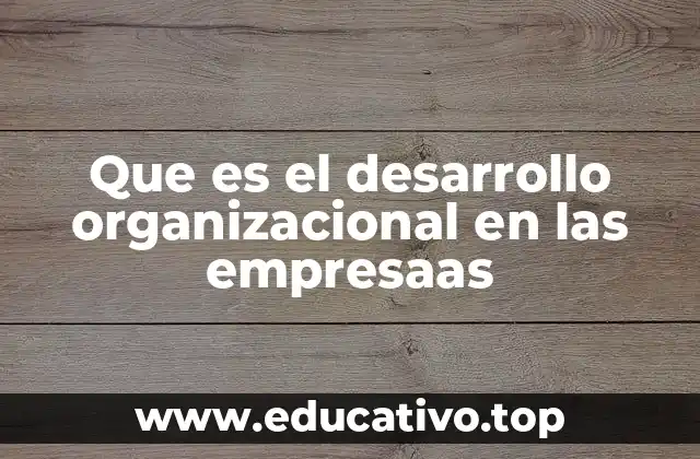 Que es el desarrollo organizacional en las empresaas