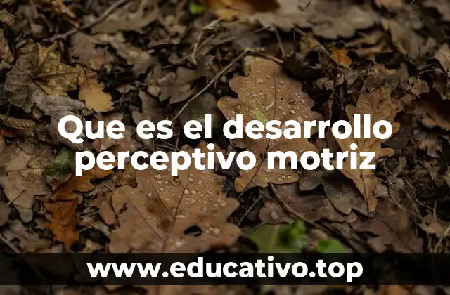 Que es el desarrollo perceptivo motriz