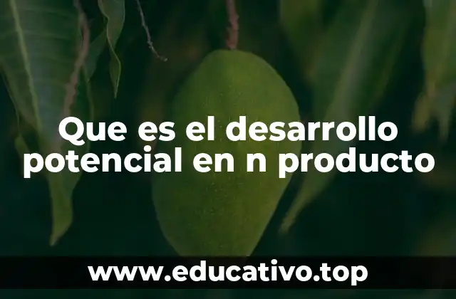 Que es el desarrollo potencial en n producto