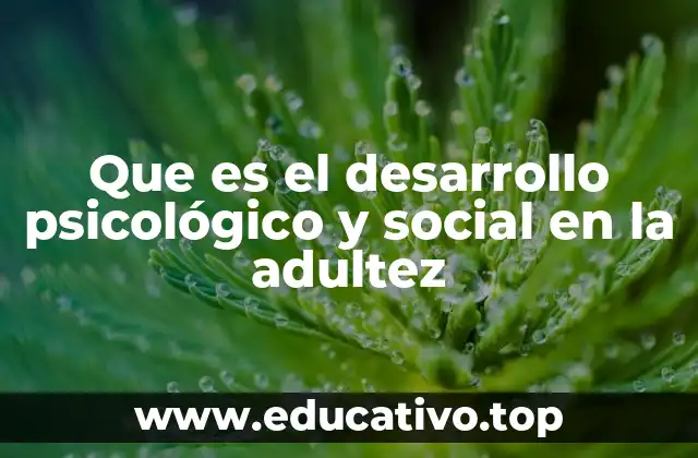 Que es el desarrollo psicológico y social en la adultez