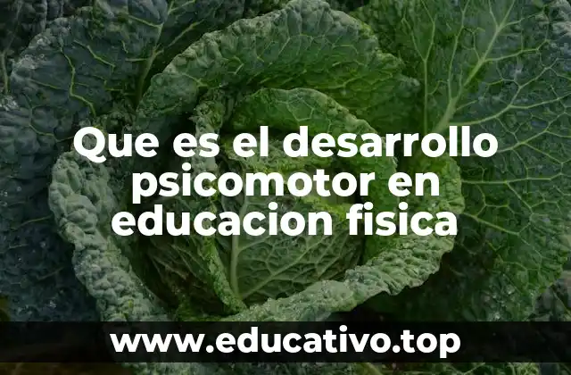 Que es el desarrollo psicomotor en educacion fisica