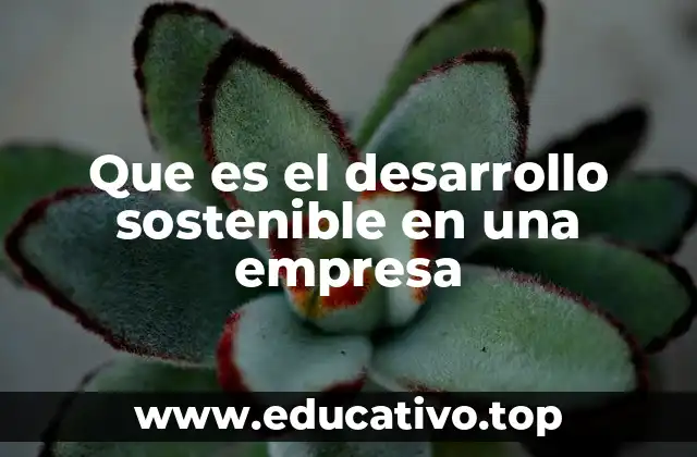 Que es el desarrollo sostenible en una empresa