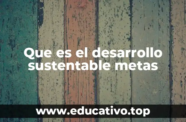Que es el desarrollo sustentable metas
