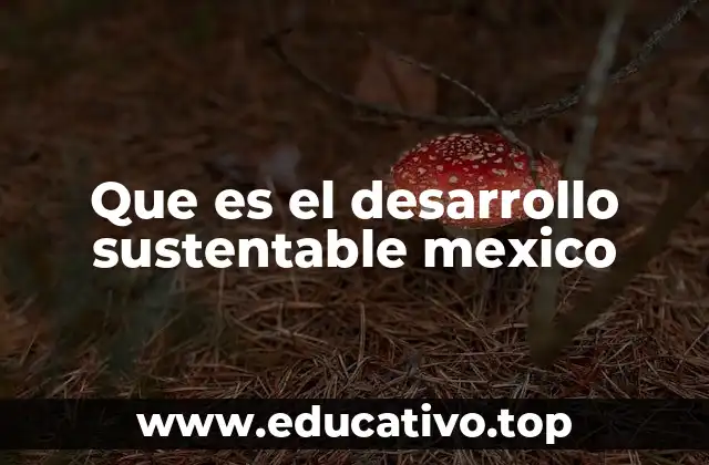 Que es el desarrollo sustentable mexico