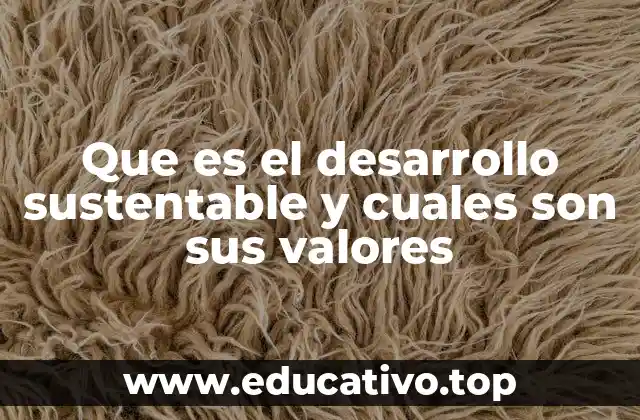 Que es el desarrollo sustentable y cuales son sus valores