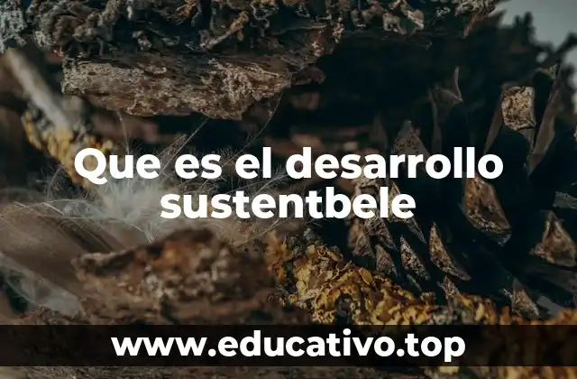 Que es el desarrollo sustentbele