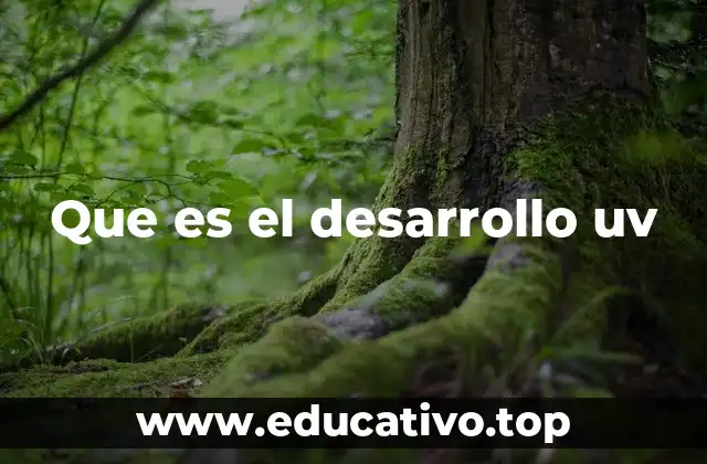 Que es el desarrollo uv