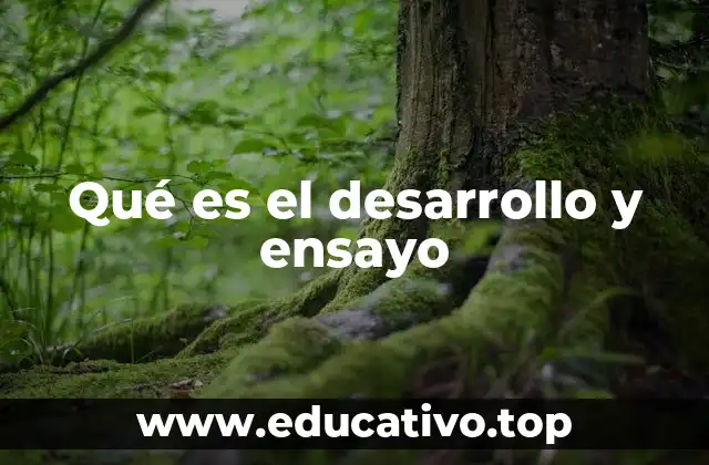 Qué es el desarrollo y ensayo