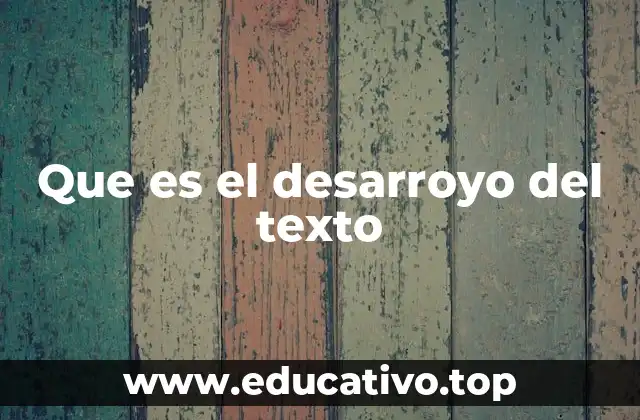 Que es el desarroyo del texto