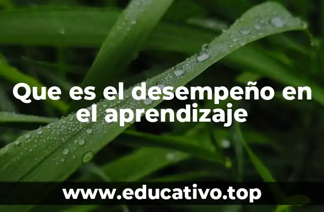 El rol del desempeño en el proceso de enseñanza-aprendizaje