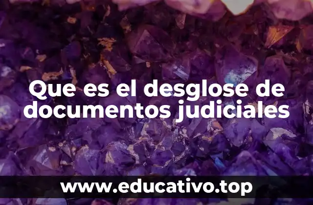 Que es el desglose de documentos judiciales