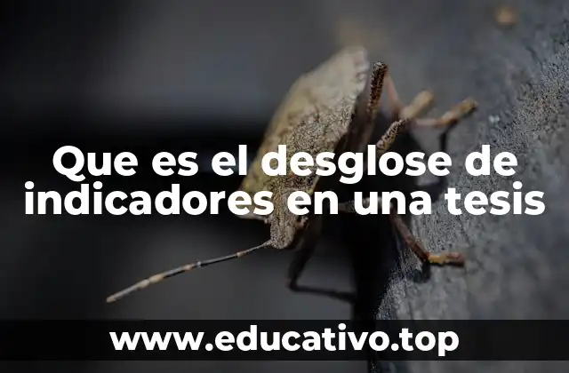 Que es el desglose de indicadores en una tesis