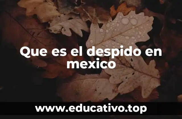 Que es el despido en mexico