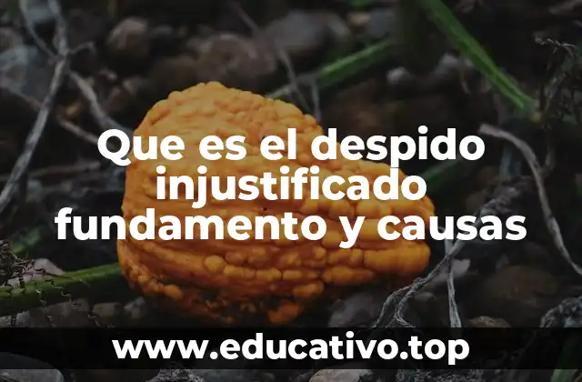 Que es el despido injustificado fundamento y causas