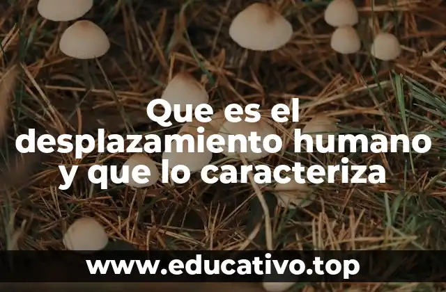 Que es el desplazamiento humano y que lo caracteriza