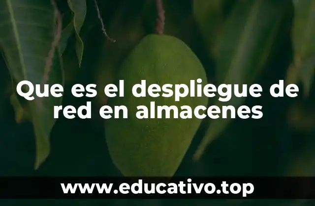 Que es el despliegue de red en almacenes